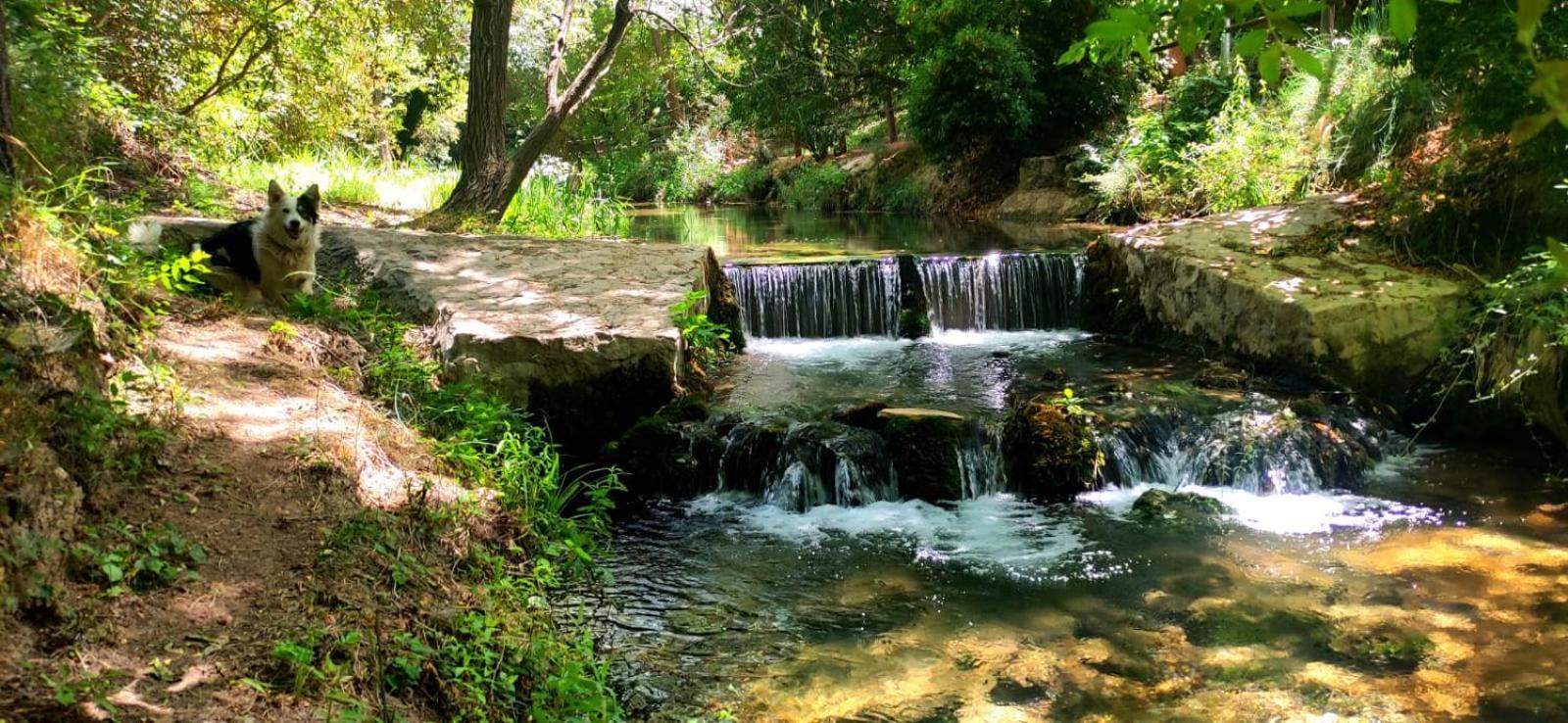 Отель Complejo Ribera De Salobre Экстерьер фото